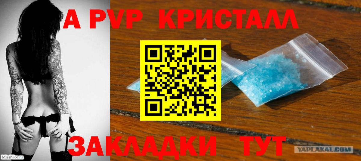 Альфа ПВП СК КРИС  А ПВП СК КРИС  A PVP СК КРИС  Гагарин  Вход с VPN 