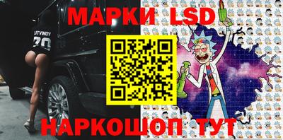 apvp Гатчина