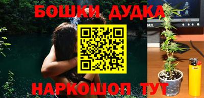 apvp Гатчина