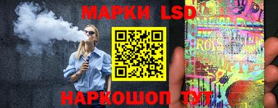 apvp Гатчина