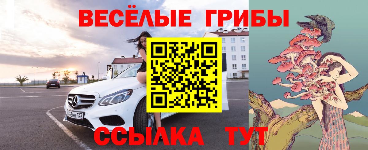 Псилоцибиновые грибы MAGIC MUSHROOMS  Галлюциногенные грибы мицелий  Гагарин  где купить наркотик  Вход с VPN 